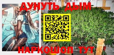 индика Дубна