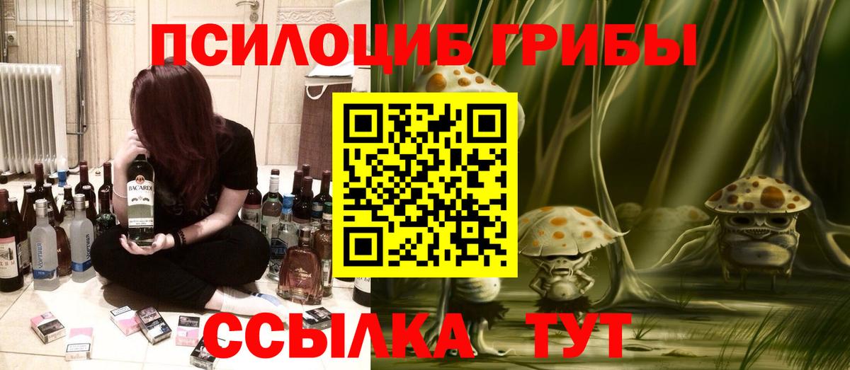 купить наркотики цена  Вход с VPN  Нальчик  Псилоцибиновые грибы мицелий 
